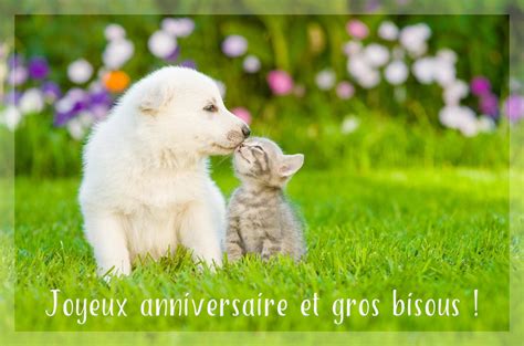 carte anniversaire 20 ans gratuite|Carte danniversaire personnalisée en ligne et gratuite。